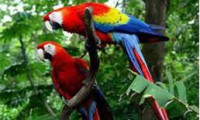 /album/fotogaleria/fauna-jpg1/